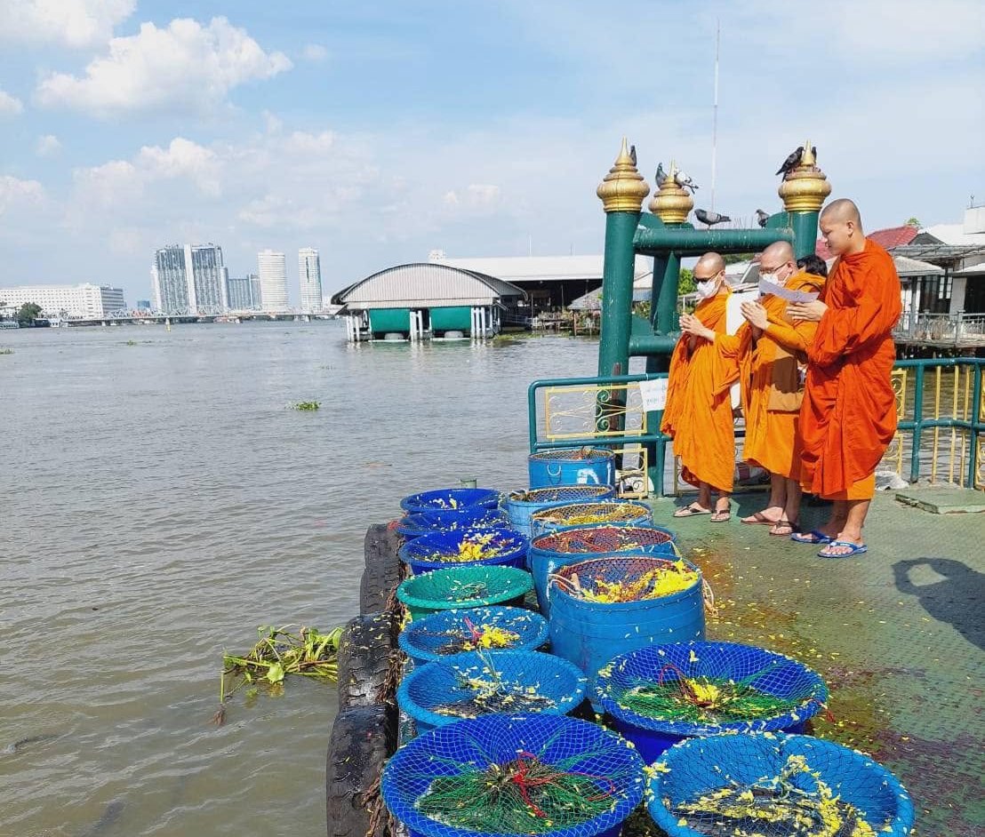พระสงฆ์สวดอธิษฐานจิตก่อนปล่อยปลาหน้าเขียงลงแม่น้ำเจ้าพระยา ที่ท่าน้ำริมตลาดเทวราช